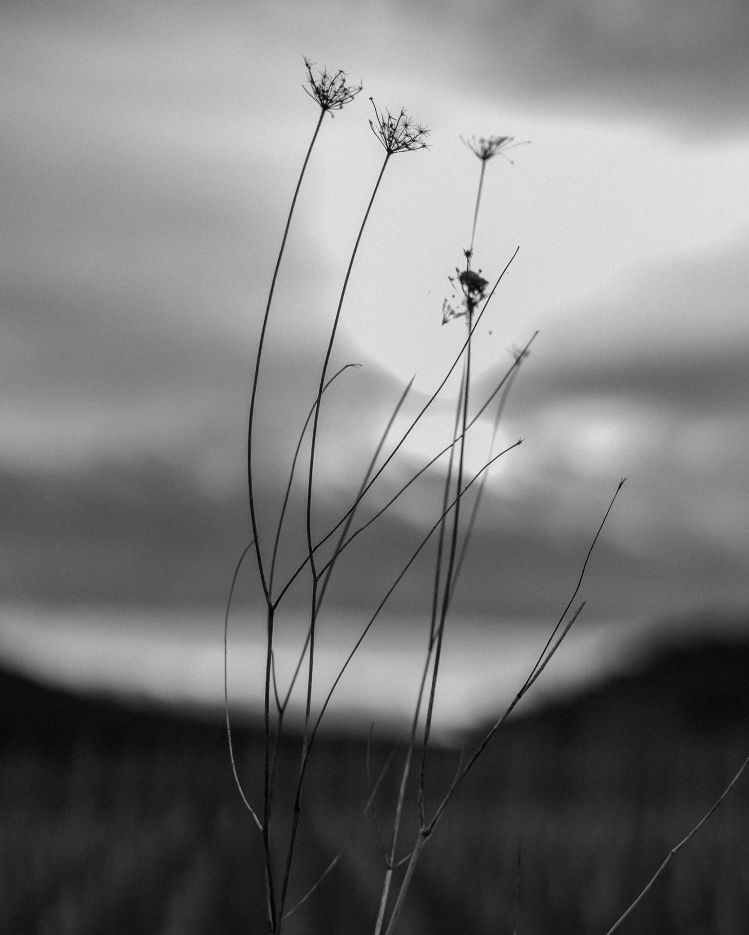 free work